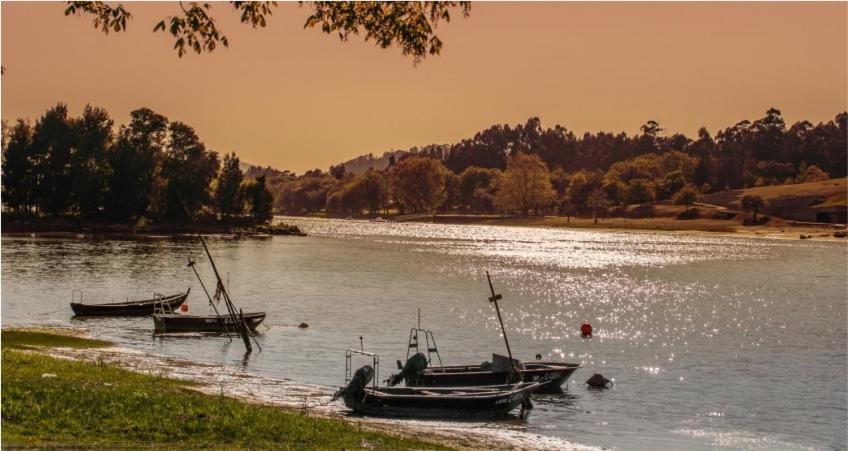 Just Like Home - Casa Do Sobreiro Velho Em Cerveira Vila Nova de Cerveira Luaran gambar